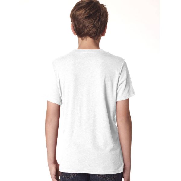 Next Level Youth Triblend Crew N6310