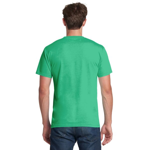 Next Level Men's Triblend Crew 6010