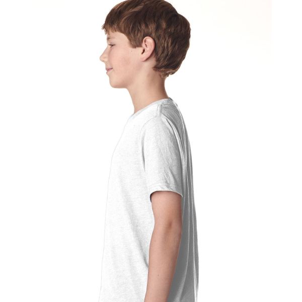 Next Level Youth Triblend Crew N6310
